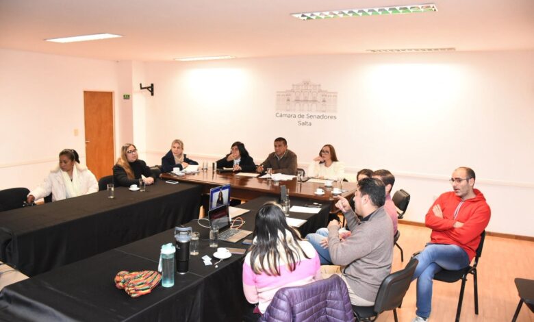 Reunión entre senadores y representantes de la comunidad sorda.
