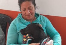 Jornadas de Castración en San Lorenzo.