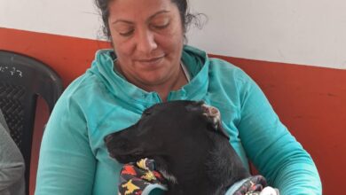 Jornadas de Castración en San Lorenzo.