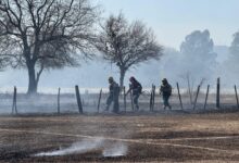 Trabajos en San Lorenzo.
