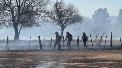 Trabajos en San Lorenzo.