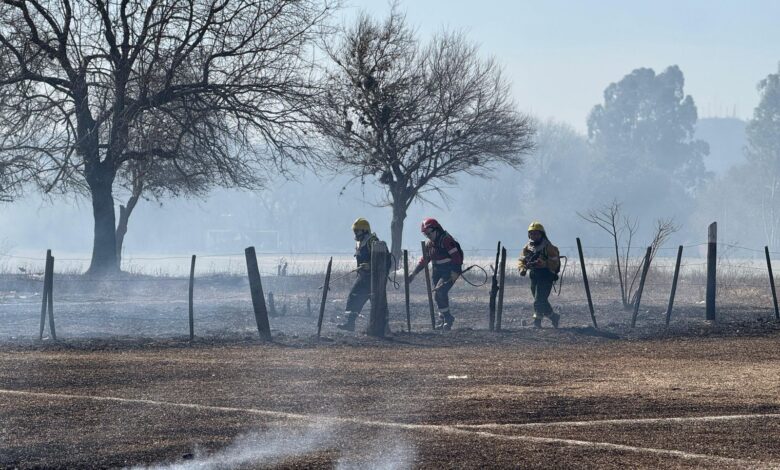 Trabajos en San Lorenzo.