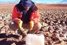 Ambientalistas encontraron más de 1.500 botellas con orina a la vera de los caminos del Salar de Arizaro. Foto: RR SS