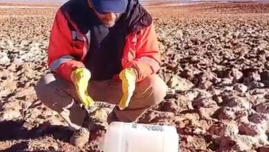 Ambientalistas encontraron más de 1.500 botellas con orina a la vera de los caminos del Salar de Arizaro. Foto: RR SS