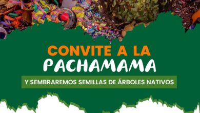 Invitación de la Fundación EcoNativa