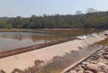 La situación del Río Colorado genera creciente preocupación entre los productores agrícolas de la región. Foto: RR SS