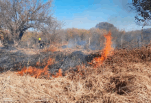 Ante los vientos, incrementó el riesgo de incendios forestales.