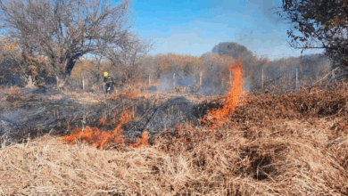 Ante los vientos, incrementó el riesgo de incendios forestales.