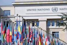 Organización de las Naciones Unidas