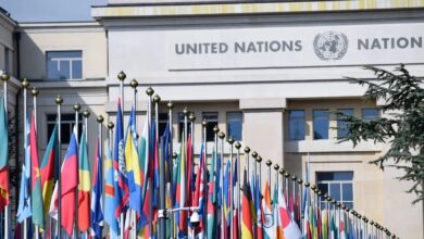 Organización de las Naciones Unidas