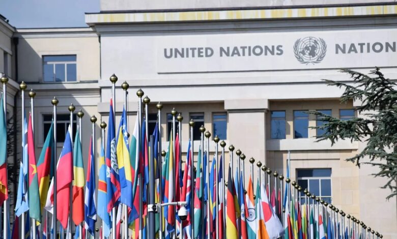 Organización de las Naciones Unidas