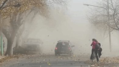 Alerta amarilla por fuertes vientos en Salta.