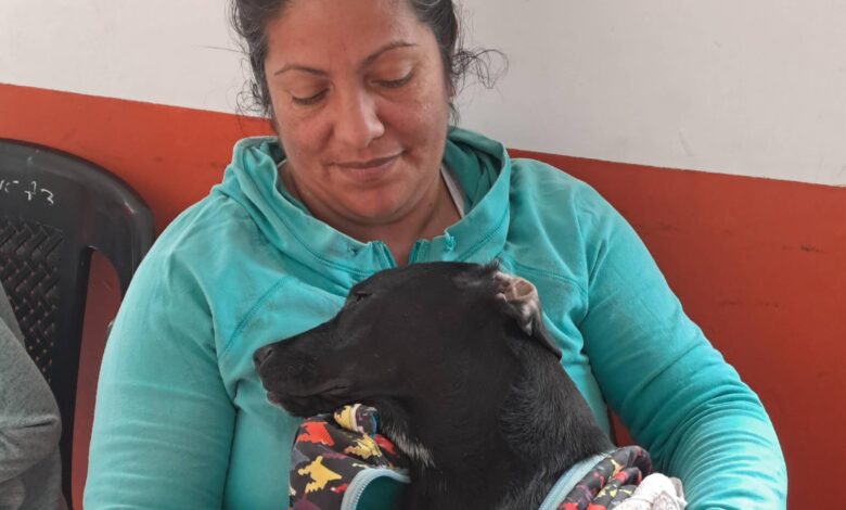 Jornadas de Castración en San Lorenzo.