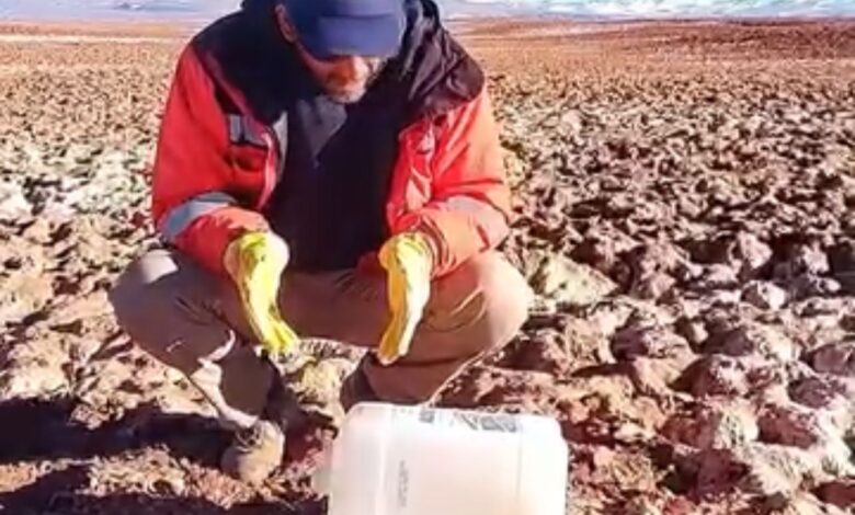Ambientalistas encontraron más de 1.500 botellas con orina a la vera de los caminos del Salar de Arizaro. Foto: RR SS