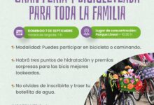 Este domingo, feria en San Lorenzo.