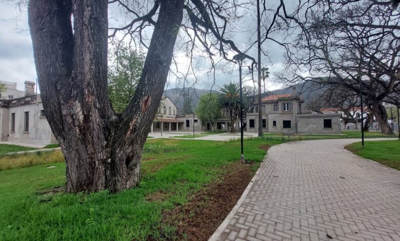 El nuevo espacio verde.