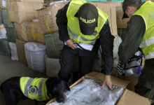 Operativo internacional “Lionfish-Mayag III” desmanteló red que trafica drogas sintéticas
