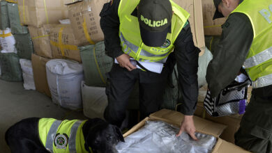Operativo internacional “Lionfish-Mayag III” desmanteló red que trafica drogas sintéticas