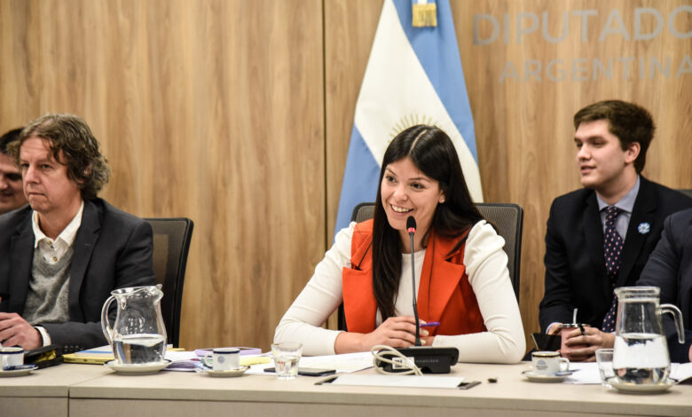 La Comisión de Libertad de Expresión vuelve a sesionar y rechaza intento de censura