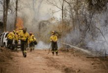 Operativo contra incendios.