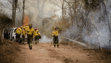 Operativo contra incendios.