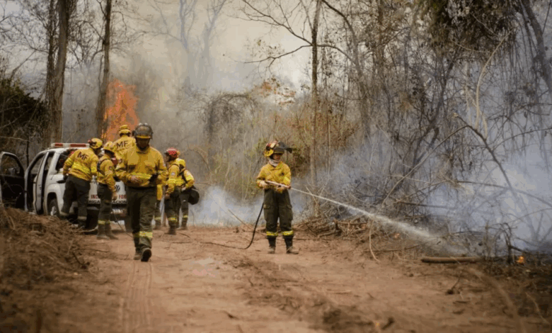 Operativo contra incendios.