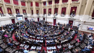 El Senado tratará los vetos presidenciales de la ley de financiamiento universitario
