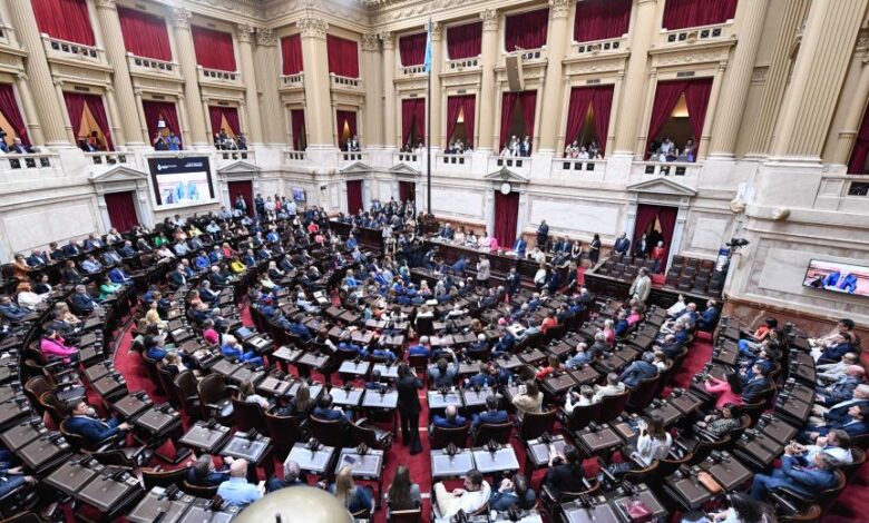 El Senado tratará los vetos presidenciales de la ley de financiamiento universitario