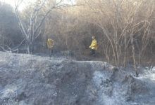 Bomberos trabajando en los incendios.