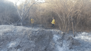 Bomberos trabajando en los incendios.