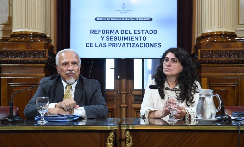 Congreso Nacional reactiva comisión bicameral para vigilar privatizaciones estatales