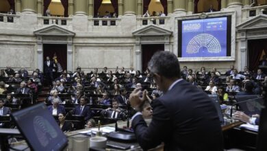 Diputados dió media sanción al proyecto de emergencia del sistema científico argentino