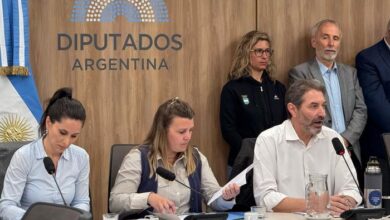 La Cámara de diputados impulsa proyecto que busca la restitución de la autonomía del ENARD