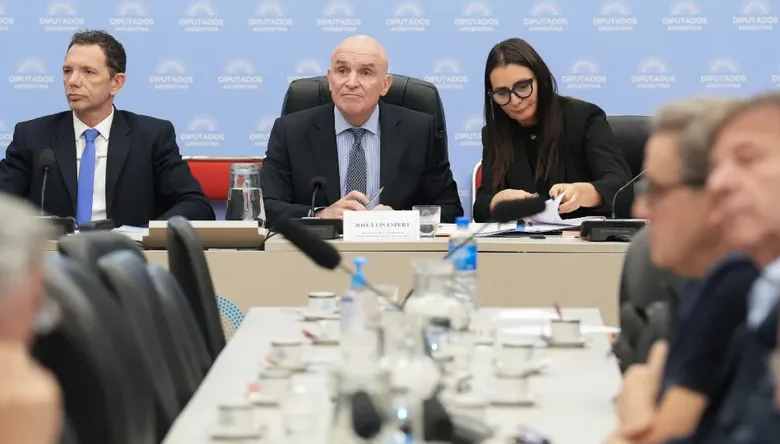 Benegas Lynch reemplazará a Espert y presidirá la Comisión de Presupuesto