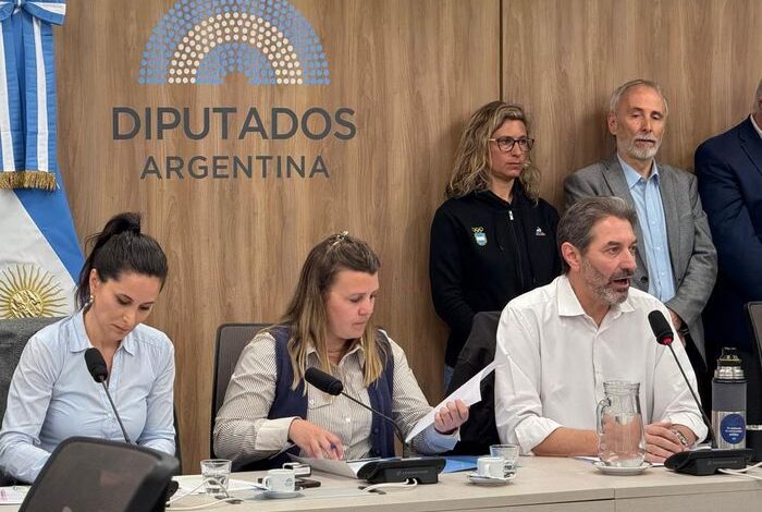 La Cámara de diputados impulsa proyecto que busca la restitución de la autonomía del ENARD