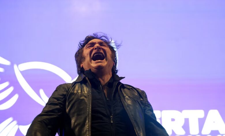 Javier Milei (REUTERS/Cristina Sille)