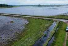Sector agropecuario exigen a Kicillof obras hidráulicas tras inundaciones