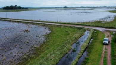 Sector agropecuario exigen a Kicillof obras hidráulicas tras inundaciones