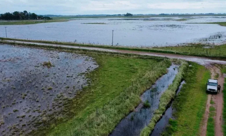 Sector agropecuario exigen a Kicillof obras hidráulicas tras inundaciones