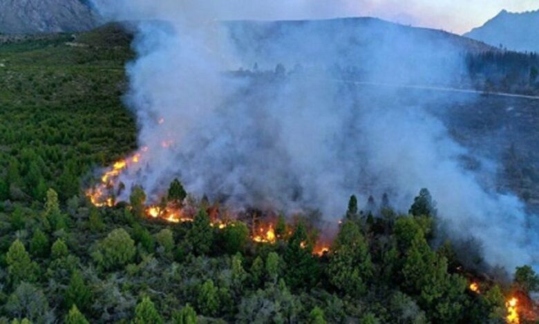 Gobierno aprobó un préstamo para reconstruir El Bolsón tras los incendios en Río Negro