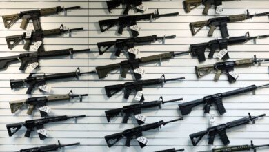 Gobierno deroga la prohibición y autoriza la compra de fusiles semiautomáticos para civiles