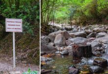 Los senderos de la Finca. Foto: Cuarto