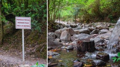 Los senderos de la Finca. Foto: Cuarto