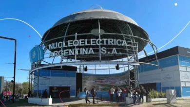Amparo colectivo busca frenar la privatización de Nucleoeléctrica Argentina Sociedad Anónima
