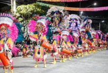 Corsos en Cerrillos-