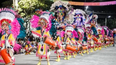 Corsos en Cerrillos-