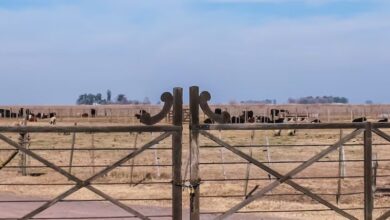 Gobierno presentó un proyecto para cambiar la Ley de Tierras para liberar compra a extranjeros