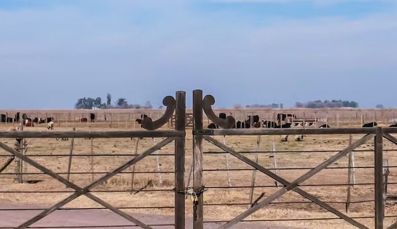 Gobierno presentó un proyecto para cambiar la Ley de Tierras para liberar compra a extranjeros