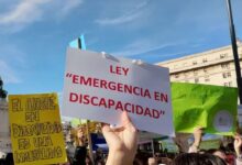 Gobierno apeló al fallo que ordena aplicar la Ley de Emergencia en Discapacidad