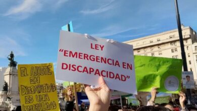 Gobierno apeló al fallo que ordena aplicar la Ley de Emergencia en Discapacidad
